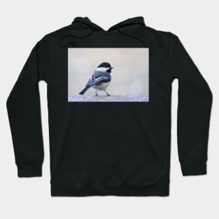 Chickadee Hoodie